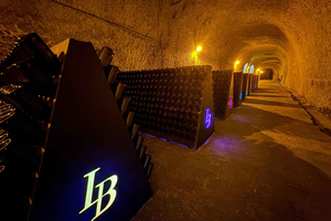 Châlons: Gallo-Roman cellar tour (UNESCO) + 3 tastings