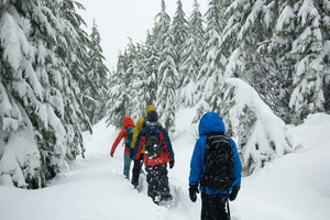Chamonix: passeggiata con le racchette da neve sotto le stelle con guida privata