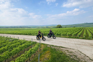 Champagne Vineyards: Tour through the heart of the vineyards on a fat tire e-bike