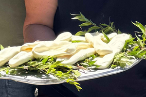 Cilento: mozzarella nella mortella with the shepherd and food tasting on Mount Gelbison