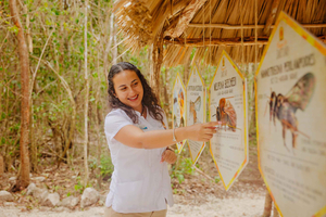 Cozumel: Generell inngang til Maya-biefredningsområdet