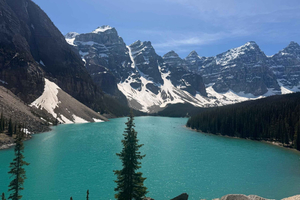 Da Calgary, Canmore o Banff: Lake Louise e Moraine Lake