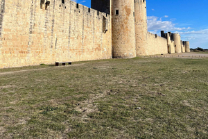 From Montpellier: Visit of Camargue and Aigues-Mortes