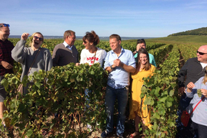 From Reims/Epernay: Champagne half-day tour (small group)