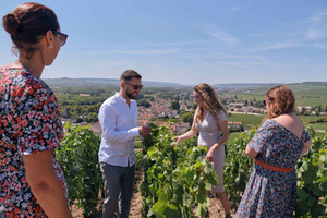 Vanuit Reims: Ochtend Champagne Tour en proeverijen