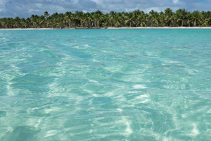 Depuis Saint-Domingue : Catamaran et bateau rapide sur l'île de Saona