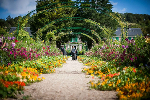Giverny: Visita guiada a la Casa y Jardines de Monet