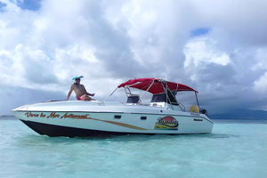 Guadeloupe: Discover the Grand Cul-de-Sac Marin Nature Reserve