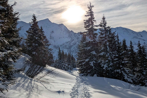 Guided Snowshoeing Tour with Equipment