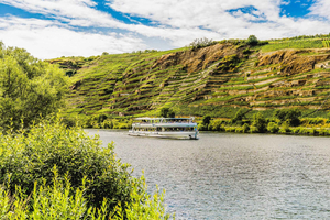 Koblenz: Panoramacruise på elven Mosel til Winningen