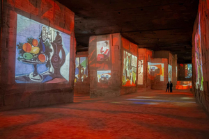 Les Baux-de-Provence: Carrières des Lumières biglietto Picasso-Frida Kahlo
