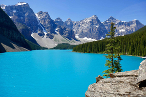Luxury tour to Lake Louise & Moraine Lake from Canmore/Banff