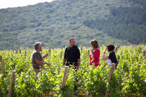 Mâconnais: visita y cata los vinos de una finca vinícola auténtica