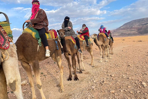 Marrakech: Montagne dell'Atlante, giro in cammello, cascate e pranzo