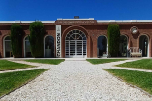 Mendoza: Chandon Winery Tour with Tasting & Transfer