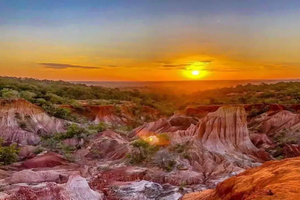 Depuis Mombasa : coucher du soleil à Marafa, ruines de Gede et visite de Malindi