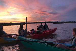 Montpellier: eco-tour in kayak nella Camargue