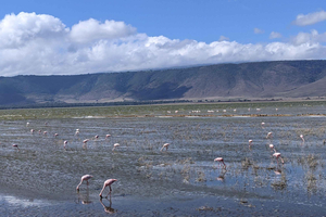 Moshi: Lake Chala Day Trip with Guided Hike and Lunch