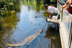 New Orleans: Swamp Boat Ride & Whitney Plantation Tour