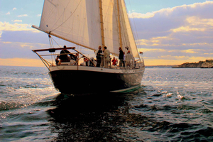 Newport: Champagne Sunset Sail