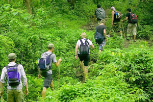 Ninh Binh: Van Long Nature Reserve & Cuc Phuong Wildlife