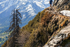 Personalized Guided Hike with Views of Mont-Blanc