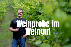 Pommern/Mosel: vinprovning hos vinodlaren