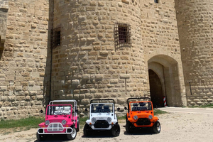 Port Camargue: Guided tours in a Sunmoke
