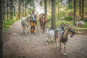 Rautjärvi: Tour pela Fazenda, Sauna a Fumaça e Iguarias Locais