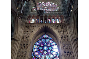 Reims con un lugareño: catedral y champanes de pequeños viticultores