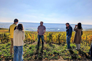 Reims or Epernay: Short day family growers & lunch