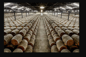 Rémy Martin Discover the production site by train