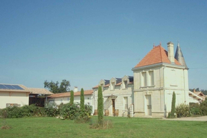 Saint-Émilion: Family Vineyard Visit with tasting of 4 wines
