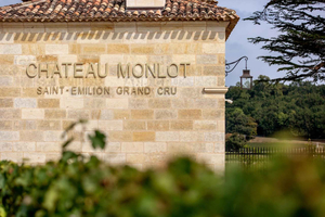 Saint-Émilion: Vineyard tour and red and white wine tasting