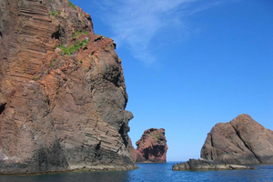 Scandola: Tour of the Nature Reserve departing from Porto (France)