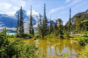 Squamish-Lillooet: begeleide wandeling naar de Joffre Lakes