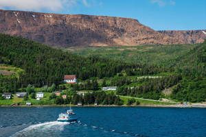 Tablelands & Bonne Bay Catamaran Tour