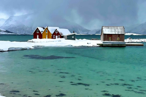 Tromsø: Sommarøy Fjord Expedition Tour & Salmon Picnic