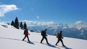 Alpine Treks