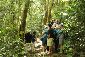 Tour combinato: Itinerario coloniale e vulcani di El Salvador