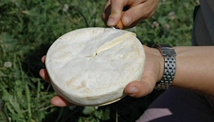 Cooperative Fruitiere du Val d'Arly