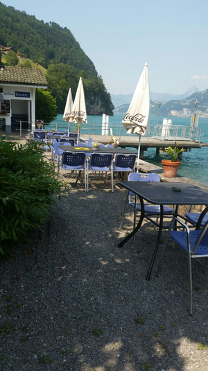 Fischli am See