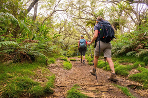 Bosque Bélouve: Excursión en Grupo Semanal al Trou de Fer en Francés