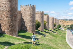 De Madrid: Viagem guiada de um dia a Ávila e Salamanca