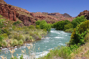 Da Mendoza: Tour panoramico di San Rafael e del Canyon di Atuel