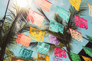 Van Puerto Vallarta: San Pancho en Sayulita
