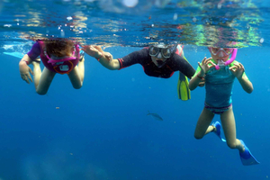 From Punta Cana: Small Group Catalina Island Snorkeling Tour