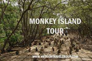 HCM:Can Gio Mangrove Forest Tour-Monkey Island