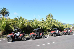 La Palma: avventura in buggy lungo la costa vulcanica (3 ore)