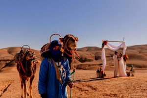 Marrakesh: Desert & Mountain Tour with Camel Ride & Lunch